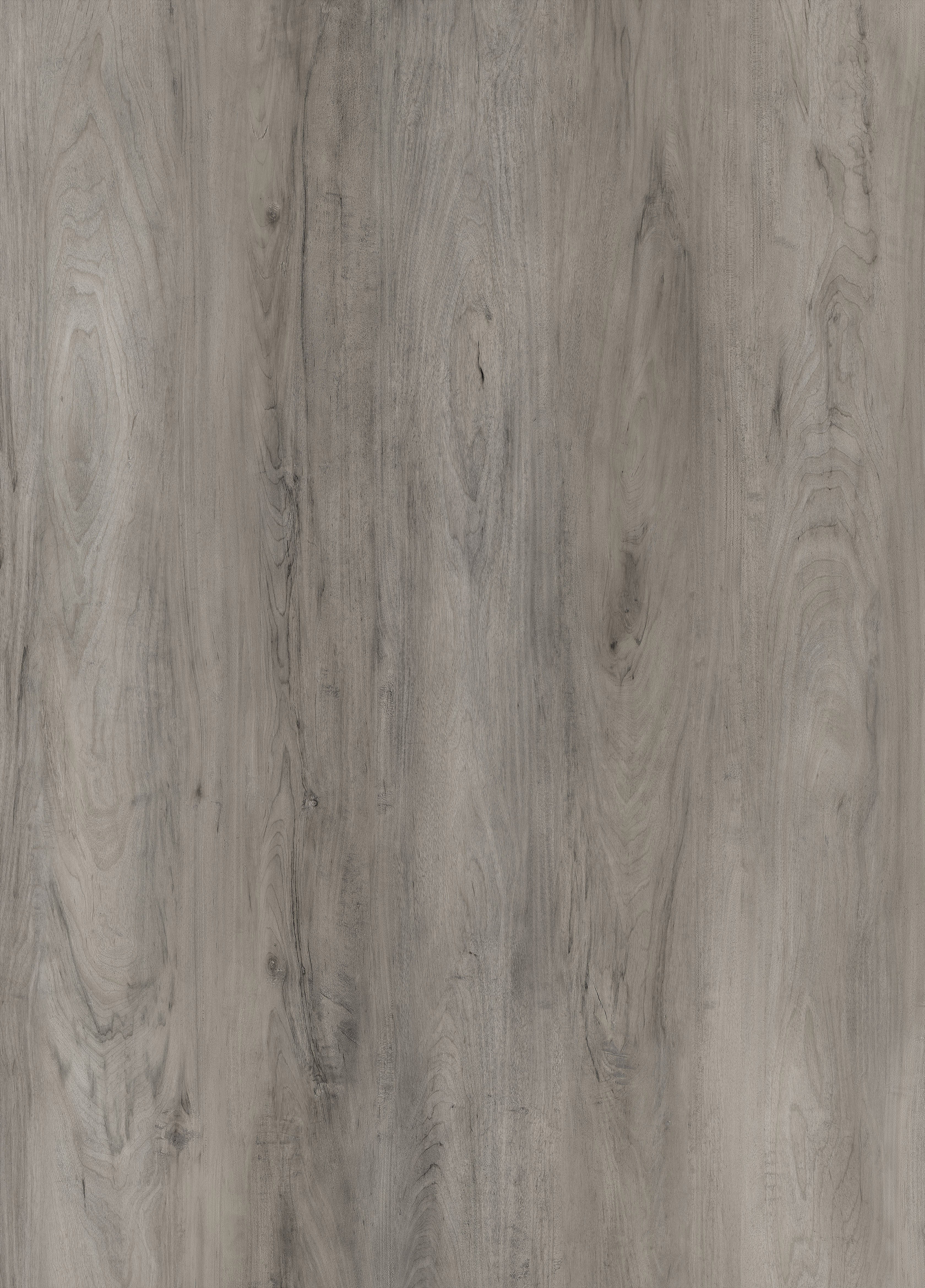 3.2mm Silver County Birch Waterproof Rigid Vinyl Plank Flooring - Sample